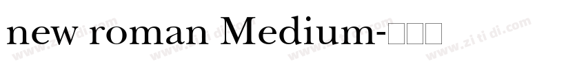 new roman Medium字体转换